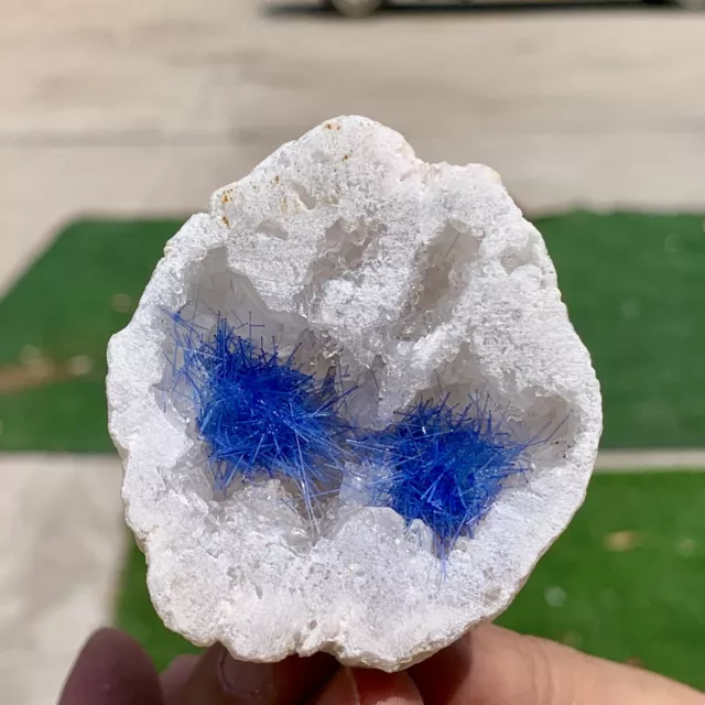 106G Rare Moroccan blue magnesite and quartz crystal coexisting specimen
