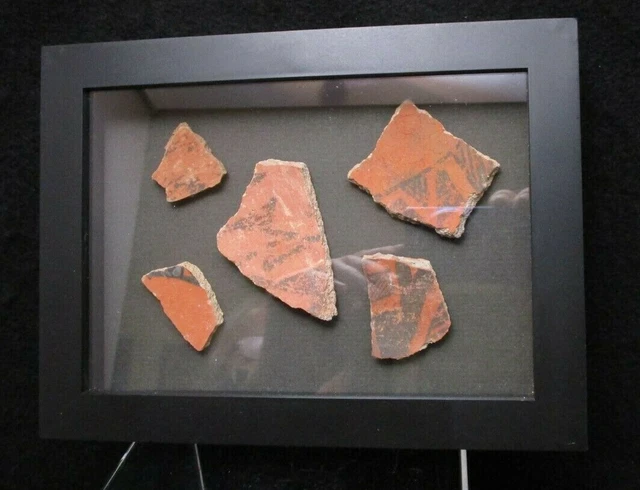 Beautifully Framed Native American Anasazi Era Pottery Shards w COA