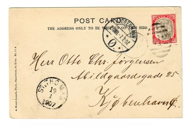 Picture Post card St. Kitts-Nevis 1907 a Copenaghen