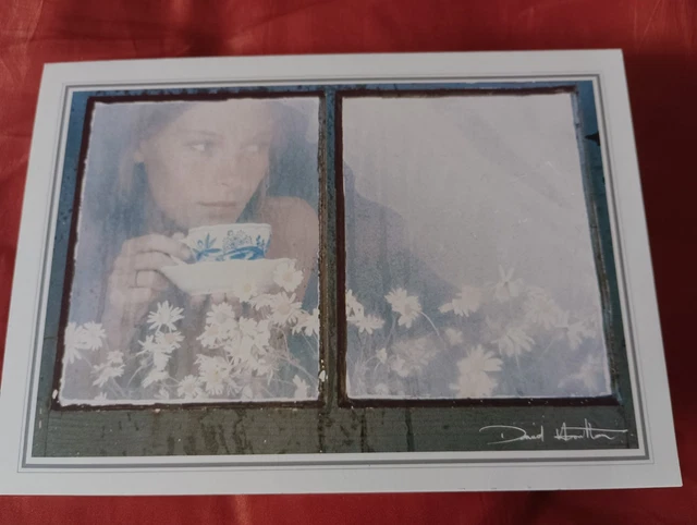DAVID HAMILTON - David Hamilton - Edition De La Martiniere - Livre