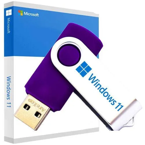 Recovery Reinstall USB for Windows 11 Home and Professional Repair Fix Restore