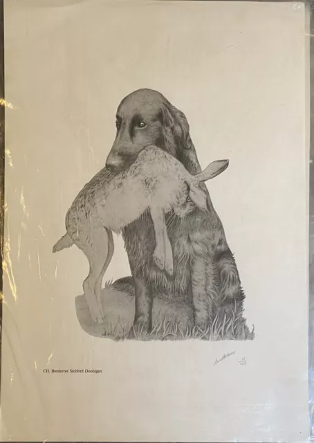 Flat Coated Retriever With Hare Limited Edition Print Signed Ann Adams