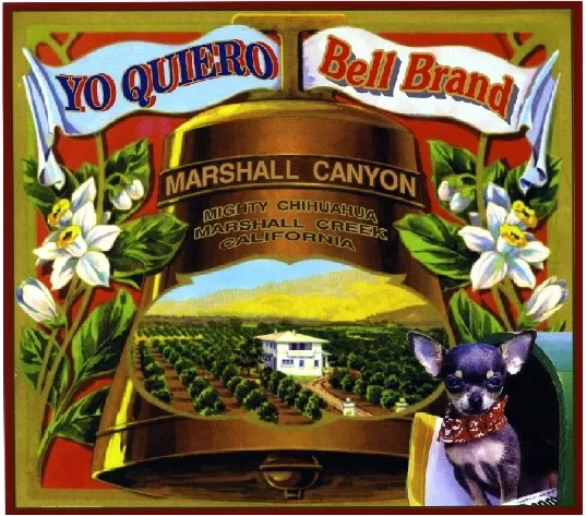 Marshall Canyon Yo Quiero Chihuahua Dog Orange Citrus Fruit Crate Label Print