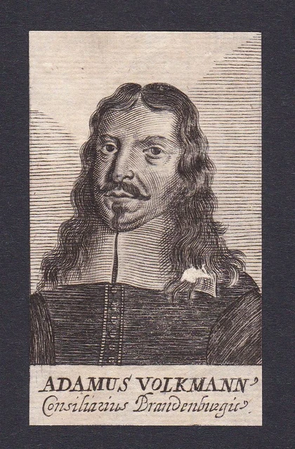 17. Siglo Adam Volkmann / Abogado Brandenburgo Retrato Grabado
