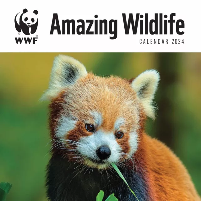 WWF, AMAZING WILDLIFE Calendar 2024 Animal Month To View £9.58