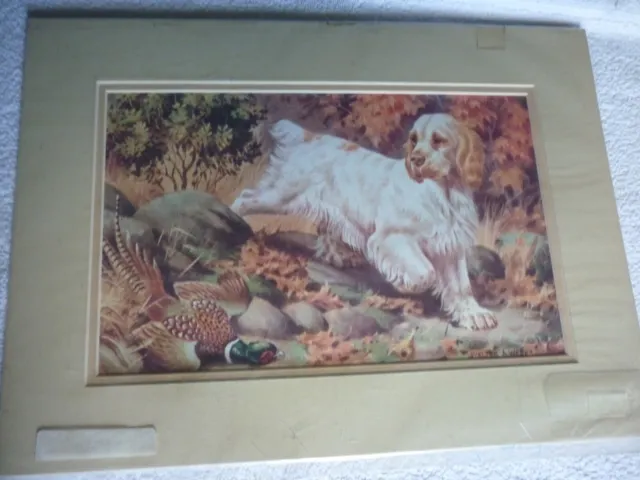 Clumber Spaniel dog print, mounted for framing, Walter A Weber