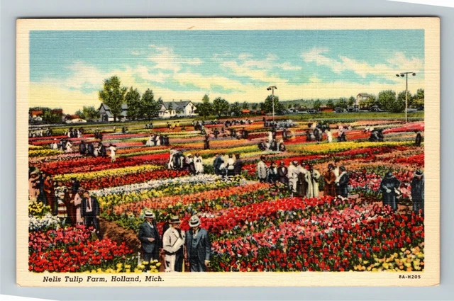Holland MI- Michigan, Nelis Tulip Farm Aerial Scenic View Vintage Postcard