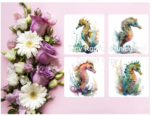 Seahorse themed neoprene drink coasters, set of 4, CHOICE, absorbent, gifts