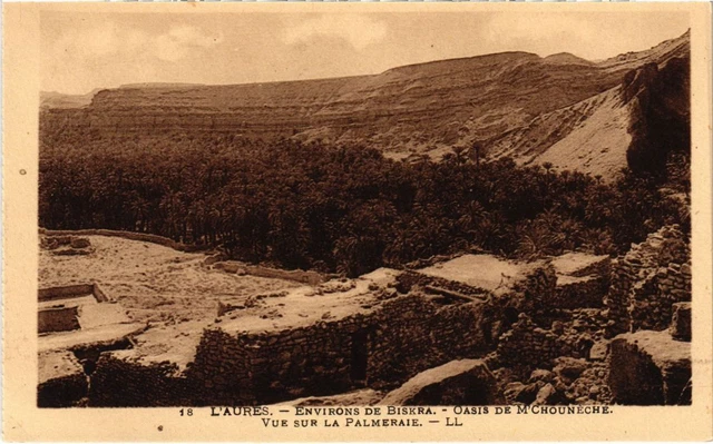 CPA AK BISKRA Env - L'Aures - Oasis de M'Chouneche ALGERIA (1291554)