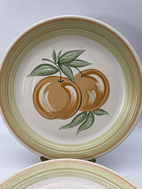 “Fruit” by Fransiscan Dinner Plates 10 3/4” Orange Replacement Piece (1) One