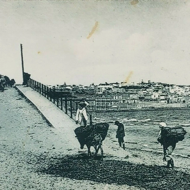 Morocco Tangier Maghreb Coast Africa Street Scene Panorama Flandrin Postcard J19