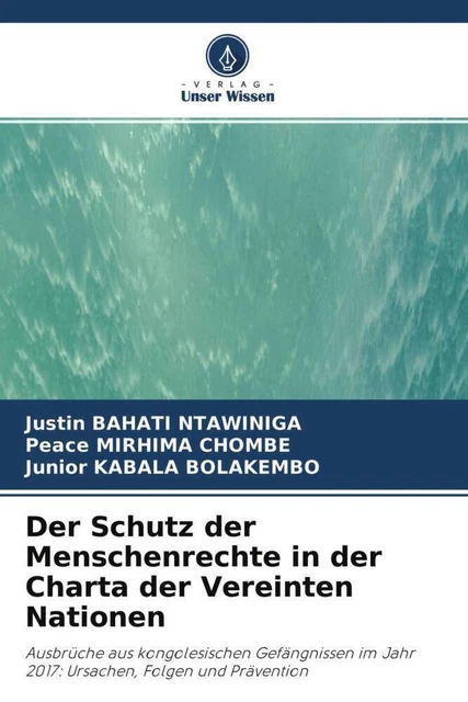 Der Schutz der Menschenrechte in der Charta der Vereinten Nationen Taschenbuch