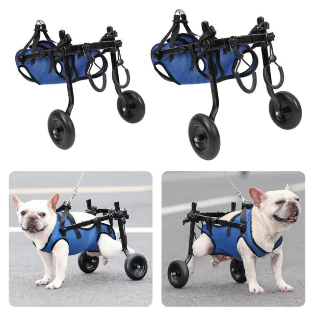 Einstellbare Haustier Rollstuhl Hind Limb Hinterbein Behindertes Haustier