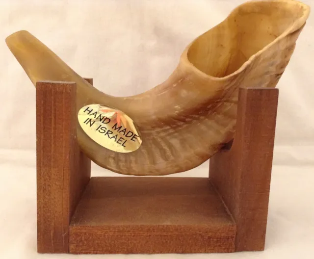 Genuine Polished Rams Horn Shofar Hand Made in Israel with Wooden Stand Judaica