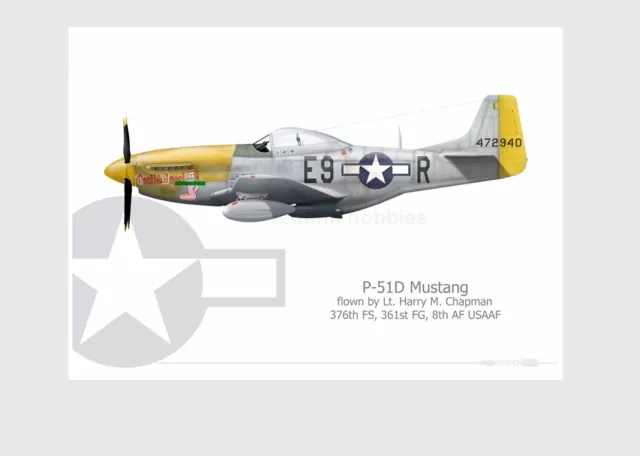 Warhead Illustrated P-51D Mustang Death's Angel Aircraft Print