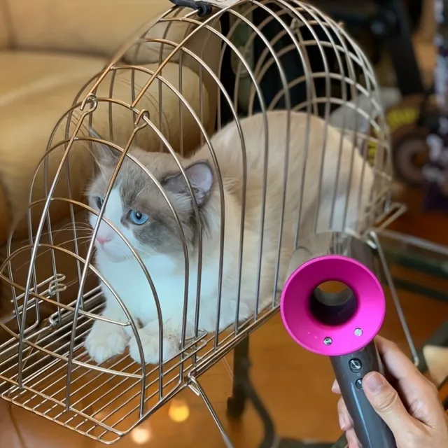 1pc Pet Grooming Cage with Built-in Hair Dryer for Cats - Easy and Safe Way