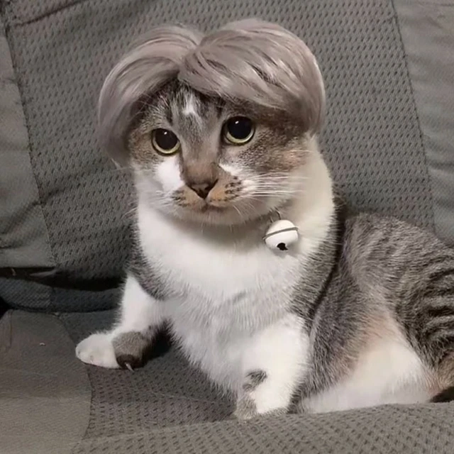 para Cosplay Fiesta Gato Accesorios para Cabello Cachorro Peluca Sombrero Mascota Tocado Gato Peluca