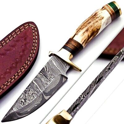CUSTOM HAND FORGED DAMASCUS STEEL HUNTING KNIFE W/ Stag Handle Brass Guard