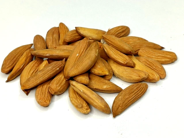 Mamra Almendras / Mamra Giri Badam 500gm | saludable y sabroso | Tamaño negrita