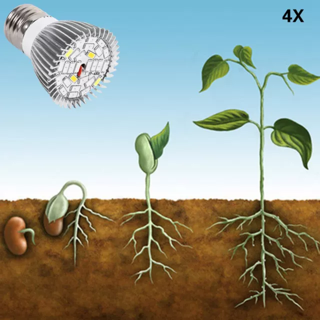 Ampoule De Croissance à LED E27 à Spectre Complet Pour Plantes Hydroponiques FR