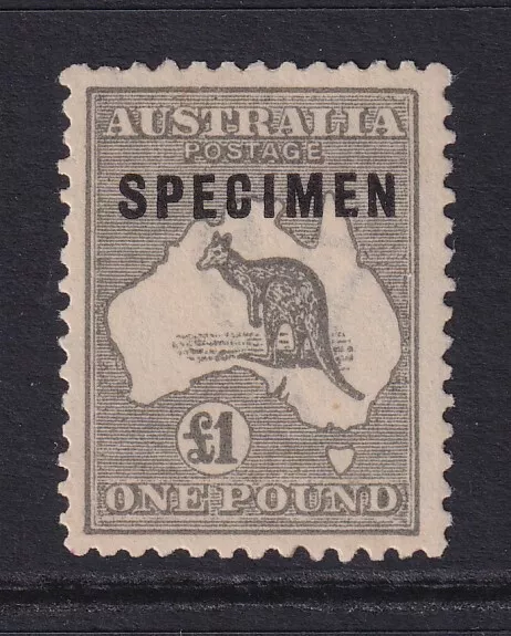 AUSTRALIA Kangaroo.... 1915-24 3rd wmk.  £1 grey SPECIMEN  muh