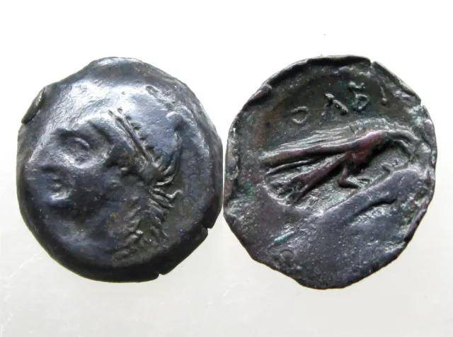 OLBIA SKYTHIA AE20______Ancient Greece_____EAGLE (ZEUS) ON DOLPHIN (APOLLO)