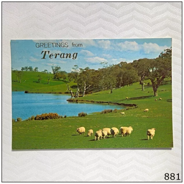 Terang Greetings Australian Rural Scene Postcard (P881)