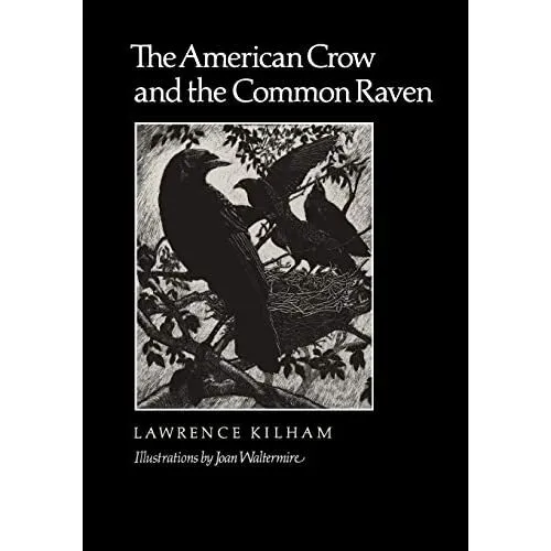 The American Crow & Common Raven (W. L. Moody, Jr., Nat - Taschenbuch NEU Kilham 2