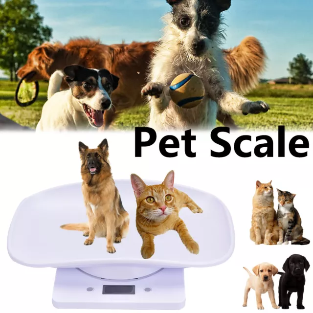 Mini Small Pet Dog Cat Weighing Scales Home Kitchen Food LCD Show Digital Scale