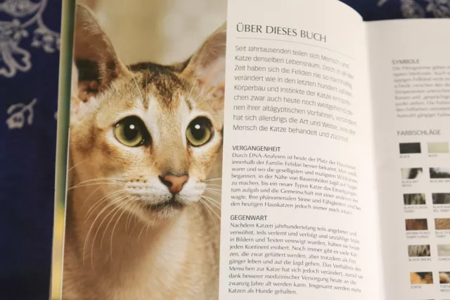 Katze Buch Praxis Ratgeber Haltung x Tierpflege Zustand gut Rassen Pflege alt er