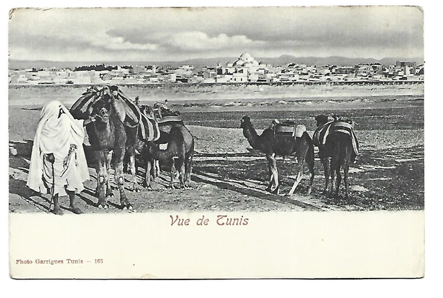 Photo Vintage Tunisie - Vue Panoramique De Tunis, Tirage Argentique Original Des Années 1940, Format 9x12 Cm