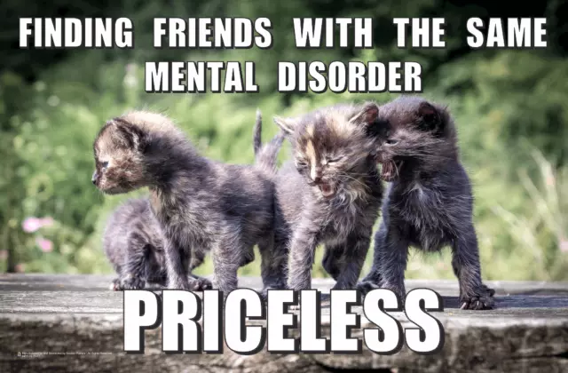 Priceless - Friends With The Same Mental Disorder Poster -  17.5x11.5 Laminated