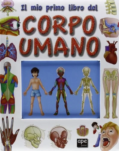 Headu - Così Siamo Realizzati Il Mio Primo Gioco Sul Corpo Umano Infantile Educativo
