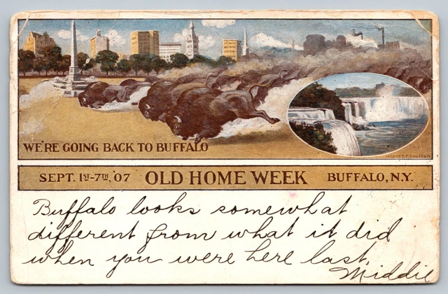 Going Back To Old Home Week Buffalo New York NY Posted Antique Postcard