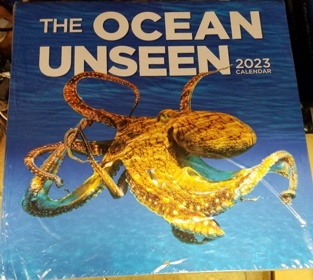 the-ocean-unseen-2023-calendar-8-02-picclick-uk