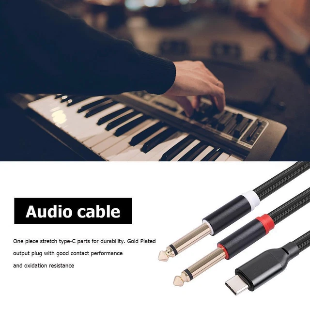 Type-C Male to Dual 6.35 Jack Audio Cable Adapter for Laptop Console (2m)
