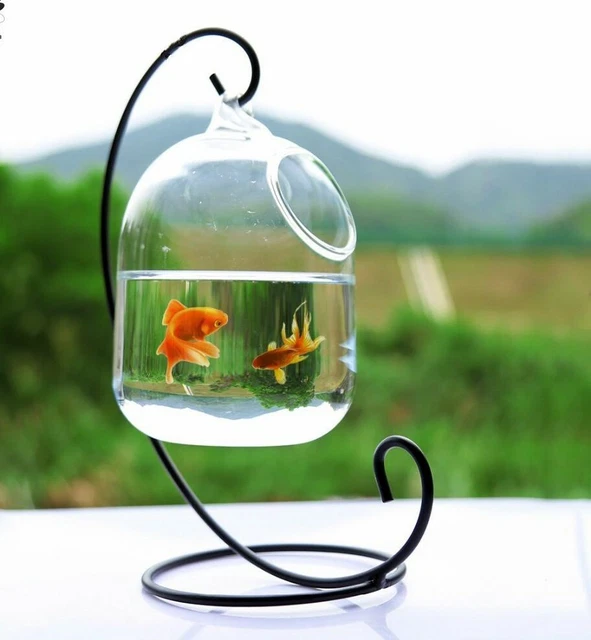 HANGING GLASS AQUARIUM 15cm HEIGHT BOWL FISH TANK CLEAR TRANSPARENT RACK CUTE 3