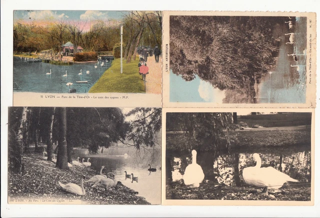 Album Cartes Postales Anciennes Lyon – Édition Marquell Artistique, Grandes Cartes 8 3/4, Original
