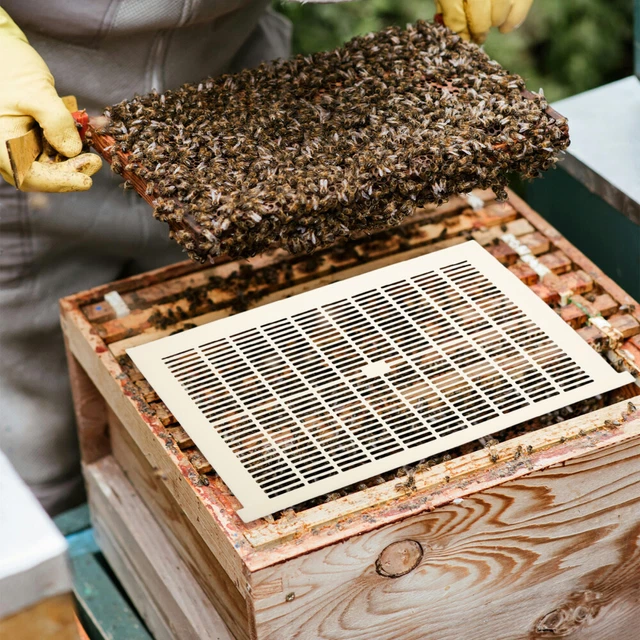50 Fondations De Cire Gaufrée Pour Ruche - 13,3x9 Cm - Pour Cadres, Apiculture, Construction Des Rayons - 11