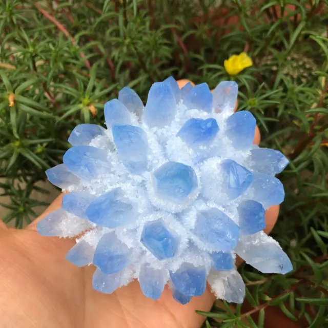 300g+ New Find Blue Phantom Quartz Crystal Cluster Mineral Specimen Healing Gift