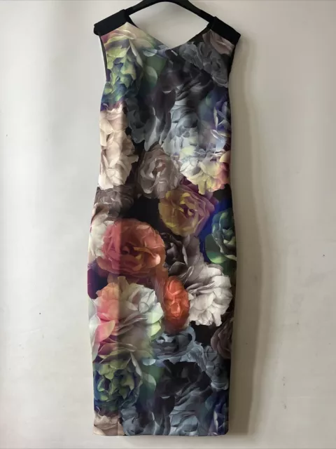 Ted baker technicolour deals bloom dress