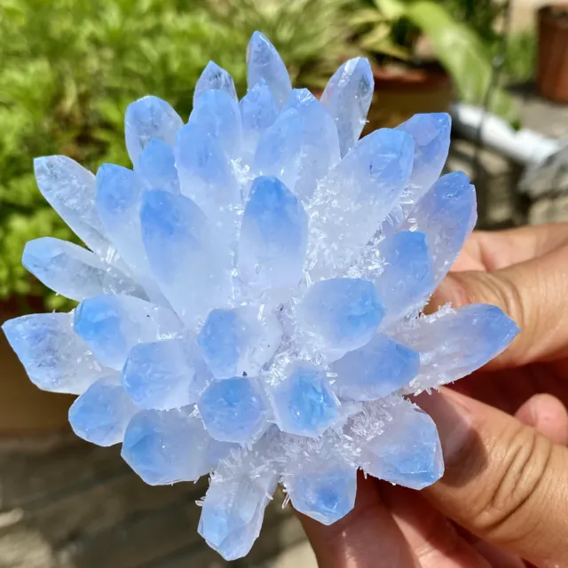 386G New Find sky blue Phantom Quartz Crystal Cluster Mineral Specimen Healing