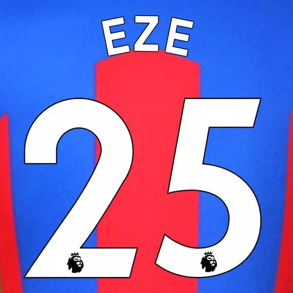 Crystal Palace 2019-23 Eze 25 Official Avery Dennison White Player Name Set