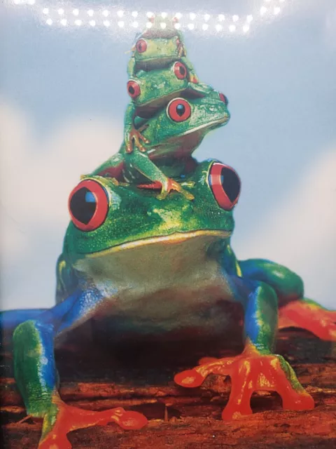 Colorful Stack Of Frog Picture