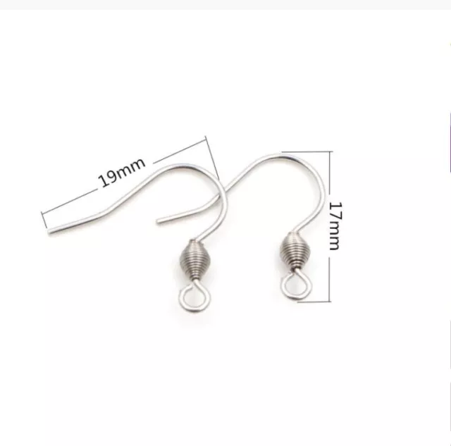 5 Pairs 316 Stainless Steel Earring Ear Hooks Hypoallergenic earring hooks