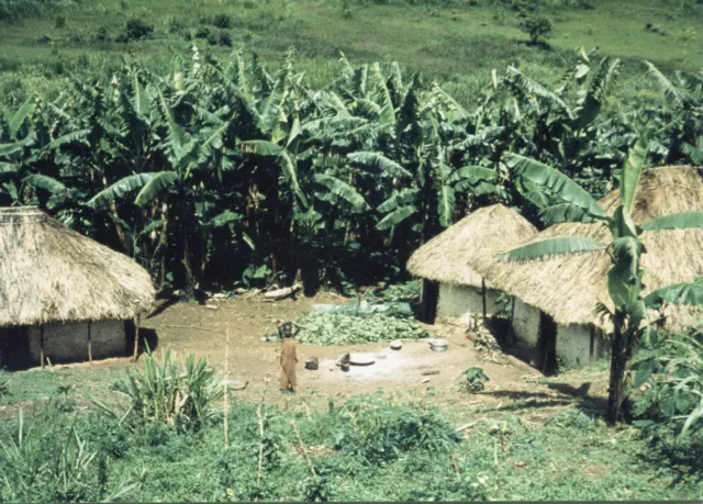 altes Foto Afrika Belgisch Kongo, einsames Kind im Dorf, 1956, 1950er, 12x18cm