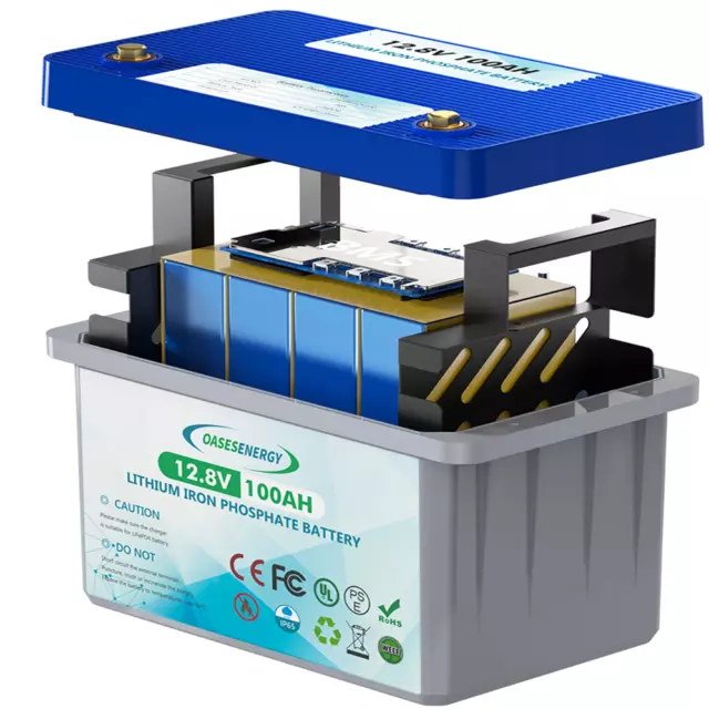 LiFePO4 Akku 12V 20Ah 100Ah 200Ah 12A Lithium Batterie BMS Wohnmobil Solar