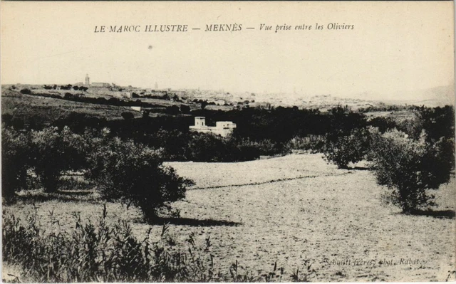 CPA AK MEKNES View taken between the Olives Morocco (23932)
