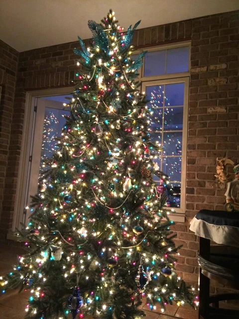 BALSAM HILL 9' California Baby Redwood Christmas Tree $200.00 - PicClick