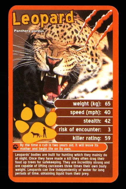 1 x info card deadliest predator Leopard - R114
